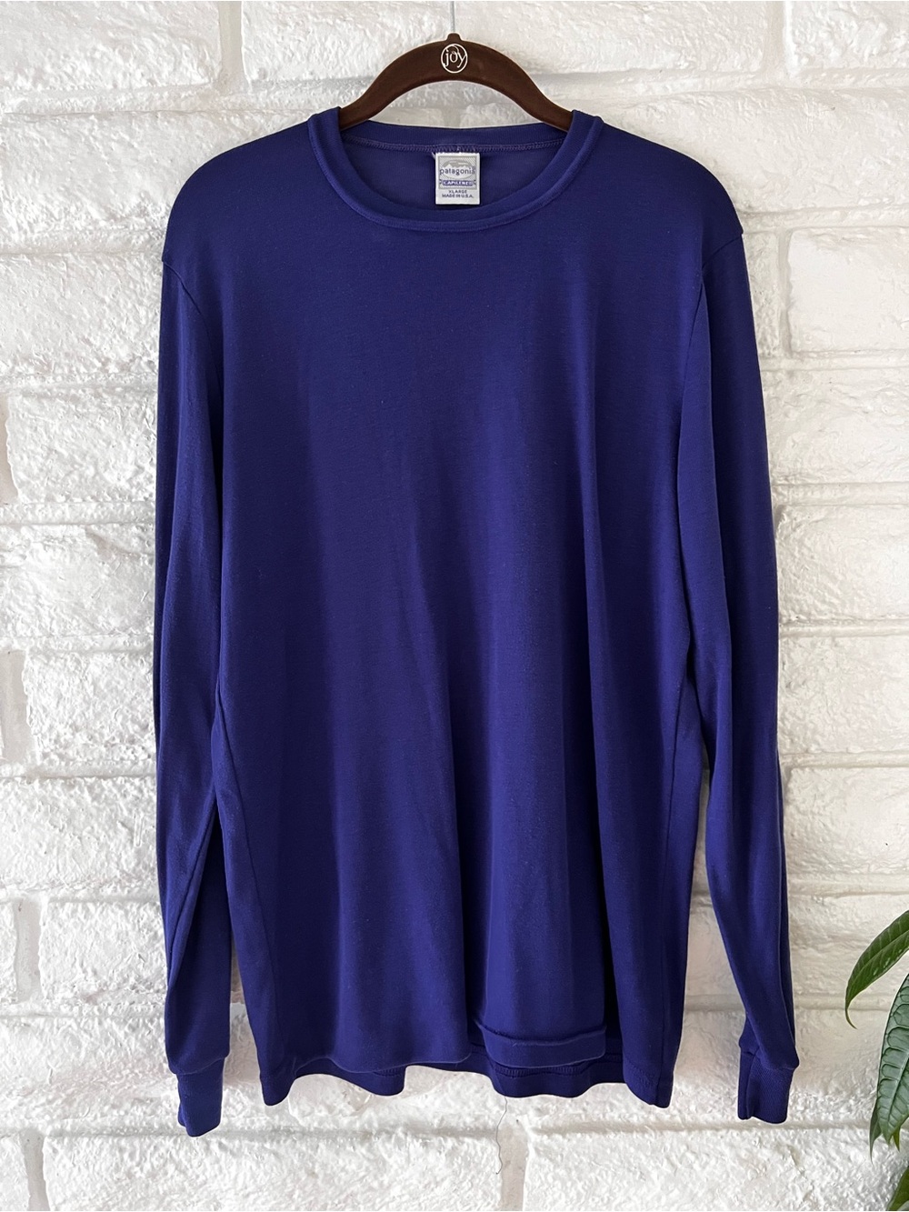 Patagonia Capilene Men's Long-Sleeve Crewneck - Royal Blue  T21